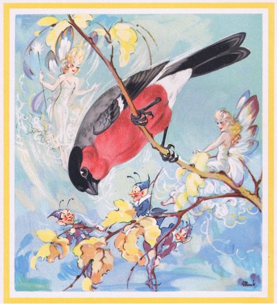 Bullfinch by G. Brooks